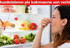 Buzdolabı kokusunu vakum gibi çekiyor! Hem ekonomik hem güvenilir çözüm: Evdeki malzemeleri kullanın