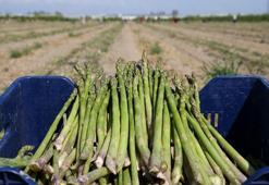 A, C, E ve K vitamini deposu süper besin! İdrar söktürücü etkisi var: Damarları kaya gibi kuvvetlendiriyor