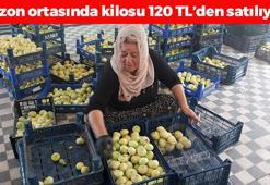 Altından bal damlayan meyvede hasat sürüyor! Kilosu 120 TL: Bağırsakları motor gibi çalıştırıp kemikleri betona çeviriyor! Magnezyum zengini