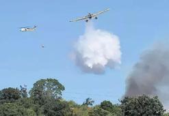 Çanakkale'de orman yine yandı, Sinop’ta mücadele sürdü
