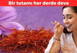 İştahınızı bıçak gibi kesiyor! Bir tutamı her derde deva olan mucize: Fiyatını da faydası da duyanları şaşırtıyor