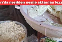 Kuma gömülerek olgunlaştırılıyor! Asırlık Türk lezzeti: Kemikleri beton gibi yapıyor, vücuda saniyesinde kalsiyum yüklüyor