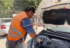 Kaputtan çıkan sürpriz: Kurtardığı kedi kendi kedisiymiş