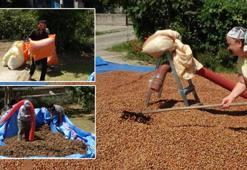 Saatlik ücreti 4 bin 500 TL! Patoz mesaisi başladı: Yılda yaklaşık 20 gün çalışıyorlar