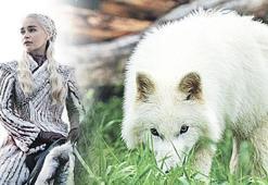 12 bin yıllık Khaleesi