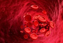 Uzman isim açıkladı: Erken tanı, akut lösemide tedavi şansını artırıyor