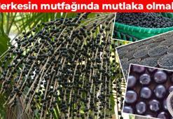 Halk arasında 'mor altın' olarak biliniyor! Süper besin kolesterolü silip süpürüyor, antioksidan zengini