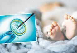 Dahi bebek teknolojisi