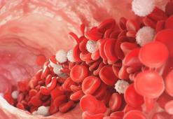 Kısa mesajla bildirilecek! Kanser taramalarında yeni dönem