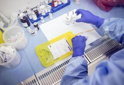 Ücretsiz kanser taramaları için SMS ile bilgilendirme dönemi başladı