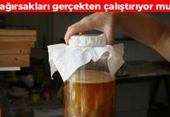 Kombucha ve fermente gıdaların durdurulamaz yükselişi! Gerçekten faydalı mı yoksa abartı mı? Bağırsak sağlığına etkileri