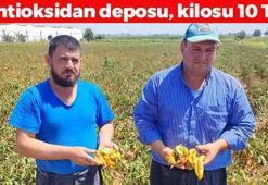 Kavurucu sıcakta zorlu mesai! Kilosu 10 TL: Antioksidan deposu, damarları genişletiyor! Doğanın C vitamini kralı