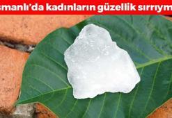 Ağdayı epilasyonu unutturuyor! Osmanlı kadınlarının güzellik sırrı: Tüylerin kökünü kazıyor, bebek gibi pürüzsüz bacaklara kavuşturuyor!