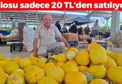 Kilosu 20 TL'den kapış kapış satılıyor! Böbrekleri diyalizden koruyor, bağırsakları motor gibi çalıştırıyor! Doğal tansiyon ilacı