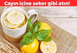 Ilık çayın içine şeker gibi atın! Antioksidanların bağırsakta daha iyi emilmesini sağlıyor, kabızlığın doğal şifası olarak biliniyor