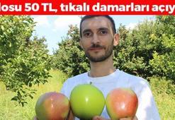 Amasya'da hasadı başladı! Kilosu 50 TL: Tıkalı damarları yağ çözücü gibi açıp kan şekerini terazi gibi dengeliyor! C vitamini deposu