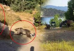 Dehşet! Kucağında bebekle ayı saldırısına uğradı