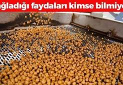 Her gün 1 avuç yiyin! Kemikleri beton gibi güçlendirip kan şekerini terazi gibi dengeliyor! Damar sertleşmesini önlüyor