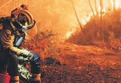 Avrupa'da orman yangını rekoru
