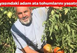 67 yaşındaki adam unutulmaya yüz tutmuş ata tohumlarından yetiştiriyor! Tıkalı damarları yağ çözücü gibi açıp kemikleri betona çeviriyor!