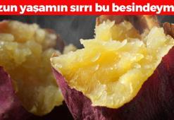 Erkenden yaşlanmayı önleyip ömrü 4 yıl uzatıyor! Meğer uzun yaşamın sırrı bu 10 besindeymiş
