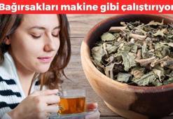 Demleyip bardak bardak için! Faydası saymakla bitmiyor: Bağırsakları makine gibi çalıştırıyor, vücuttaki yaraları onarıyor