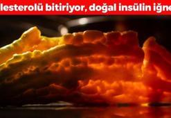 Japonların uzun yaşam sırrı olan besin! Kolesterolü damardan kazıyıp atıyor, insülini anında baskılıyor! En güçlü kansersavar olmaya aday