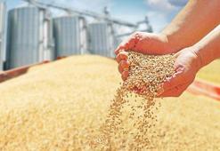 Hububat ve bakliyat ihracatında büyük ivme