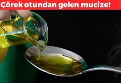 Firavun'un astım şifası! 1 çay kaşığı yetiyor: Kandaki iltihabın kökünü kurutuyor