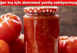 Domatesi saklamanın en güvenli yolu belli oldu! Böyle yapınca 10 ay bozulmuyor: Kışlık hazırlığında bu detaya dikkat