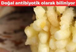 Halk arasında 'beyaz altın' olarak biliniyor! Tıkanmış damarlara anjiyo etkisi sağlıyor: Vücuttaki iltihabın kökünü kazıyor