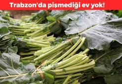 Trabzon'da yetişiyor, kilosu 40 TL: Sütten 30 kat daha fazla kalsiyum içeriyor, kemikleri betona çeviriyor