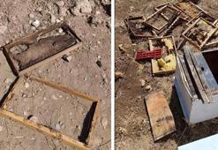 Üretici 100 bin lira zarara uğradı! Her yıl ayı saldırısına uğruyoruz