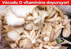 'Uzun ömür besini' olarak biliniyor! En kuvvetli D vitamini kaynağı: Kanser riskini yüzde 45' kadar azaltıyor