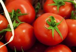 Domates neden küflenir? Domates küflenmesini önleyen yöntemler nelerdir?