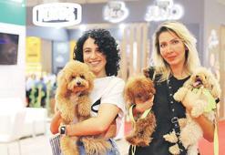 Evcil hayvan sektörü Afrika'da buluşacak