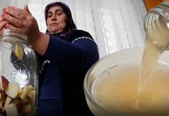 İç Anadolu’nun doğasından gelen fayda! Günde bir-iki kaşık tüketmek yeterli: Kalp damar sağlığını koruyor, karaciğerdeki toksinleri kazıyıp atıyor