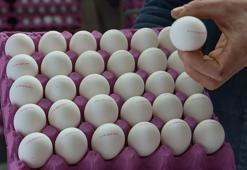 Kimse tüketmek istemiyor ama şifa kaynağı! Yoğurdun içine karıştırıp kaşık kaşık yiyin: Dünyanın en güçlü protein ve kalsiyum kaynağı