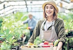 Hibe programına başvurular başlıyor