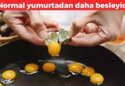 Normal yumurta yerine bunu tüketin! Yüksek protein, vitamin ve mineral içeriyor: Kolesterol oranı daha düşük ama daha besleyici