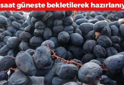 Malatya'dan yurt dışına satılıyor, kilosu 500 TL! Kemikleri beton gibi güçlendirip demir depolarına zirve yaptırıyor!