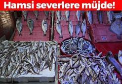 Vira Bismillah dendi, sezon açıldı! Hamsi severlere müjde geldi: Bu sene bolluk yaşanacak! Bilinen en güçlü B12 ve D vitamini deposu