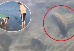 İznik Gölü’nün dibinde fark edildi! Uzmanlar bölgeye akın etti
