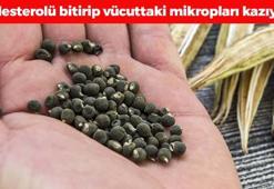 Geceden suda bekletip sabah yiyen yaşadı! Kolesterolün kökünü kazıyor, kan şekerini terazi gibi dengeliyor!