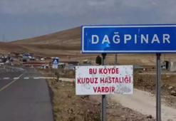 Kars'ta kuduz vakası: Bir belde karantinaya alındı