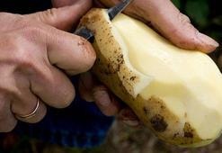 Ağustos ayında ekmek fiyatı arttı, patates ucuzladı