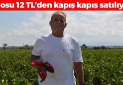 Kilosu 12 TL'den satılıyor! C vitamini bombası, demir emilimini artırıp kolesterolün kökünü kazıyor!