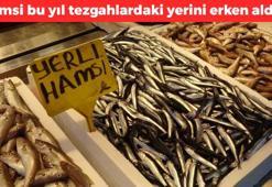 Hamsiye erkenden kavuştuğuna sevinenleri korkutan haber! '35 yıldır böylesini ilk kez görüyorum'