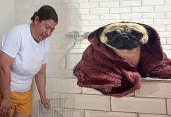 Pet otelde skandal! Bıraktığı köpeği hayatını kaybetti