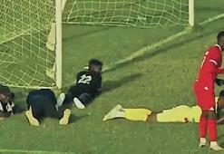 Arılar bastı futbolcular yattı